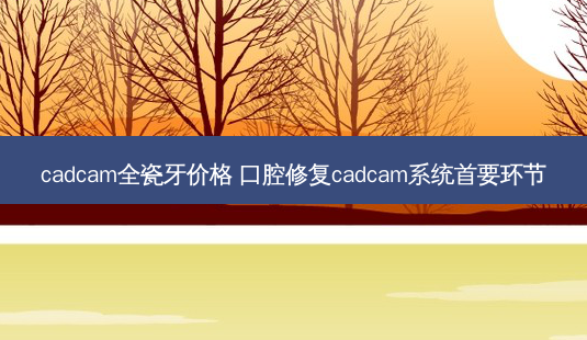 cadcam全瓷牙价格 口腔修复cadcam系统首要环节-第1张图片-精湛整形网
